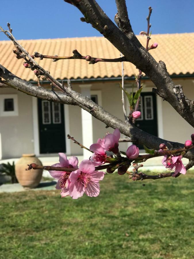 Tamaris Beach House Acharavi  Bagian luar foto